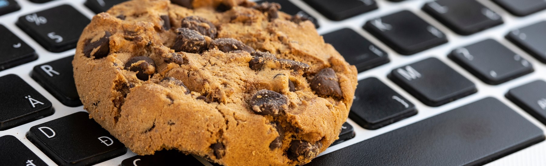 עוגיות באתר